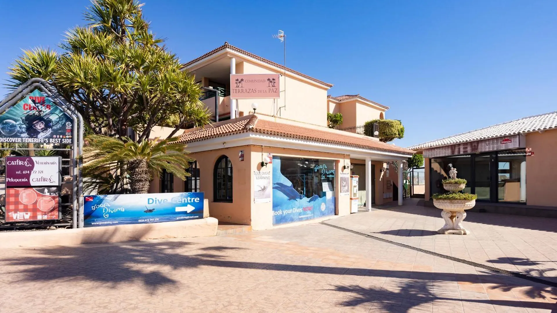 Nice Apt With Terrace In Golf Del Sur San Miguel de Abona 0*,  Espagne